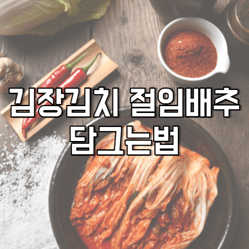 김장김치 담그는법