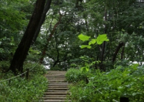 홍릉수목원