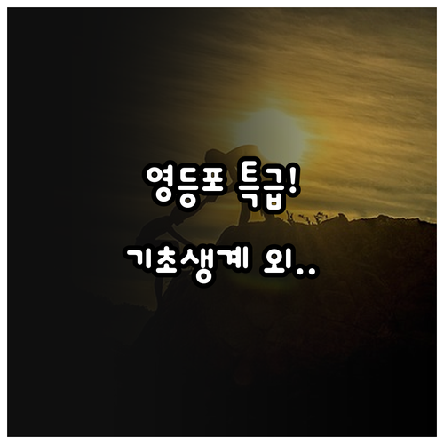 2025년 기초생계 제외 영등포 중증..