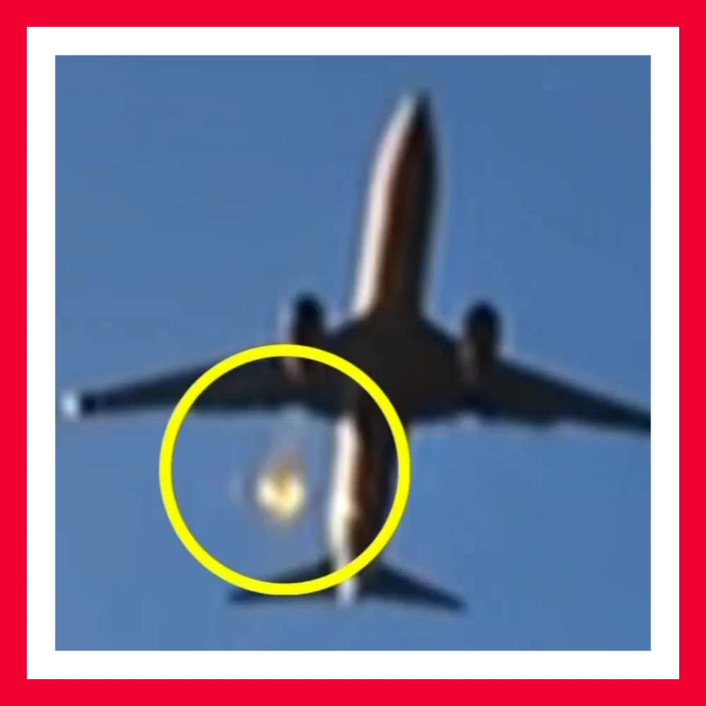 제주항공-엔진-깃털-조류충돌