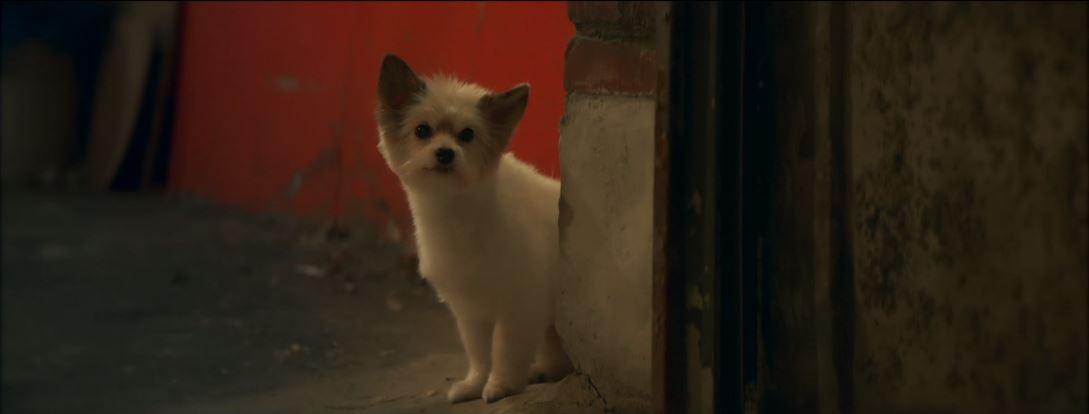 오늘도사랑스럽개_5회