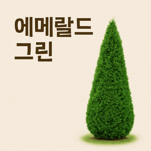 에메랄드그린, 정원에 시선과 구조를 더하는 수직 수목