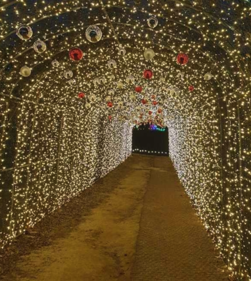 낭만등불축제 일정 체험 즐길거리 주차장 근처 맛집 정보