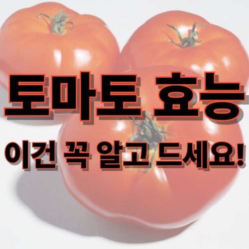 토마토 효능