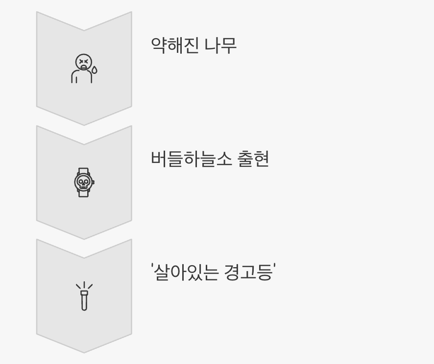 3. 벌레가 아닌, 나무의 건강을 보세요