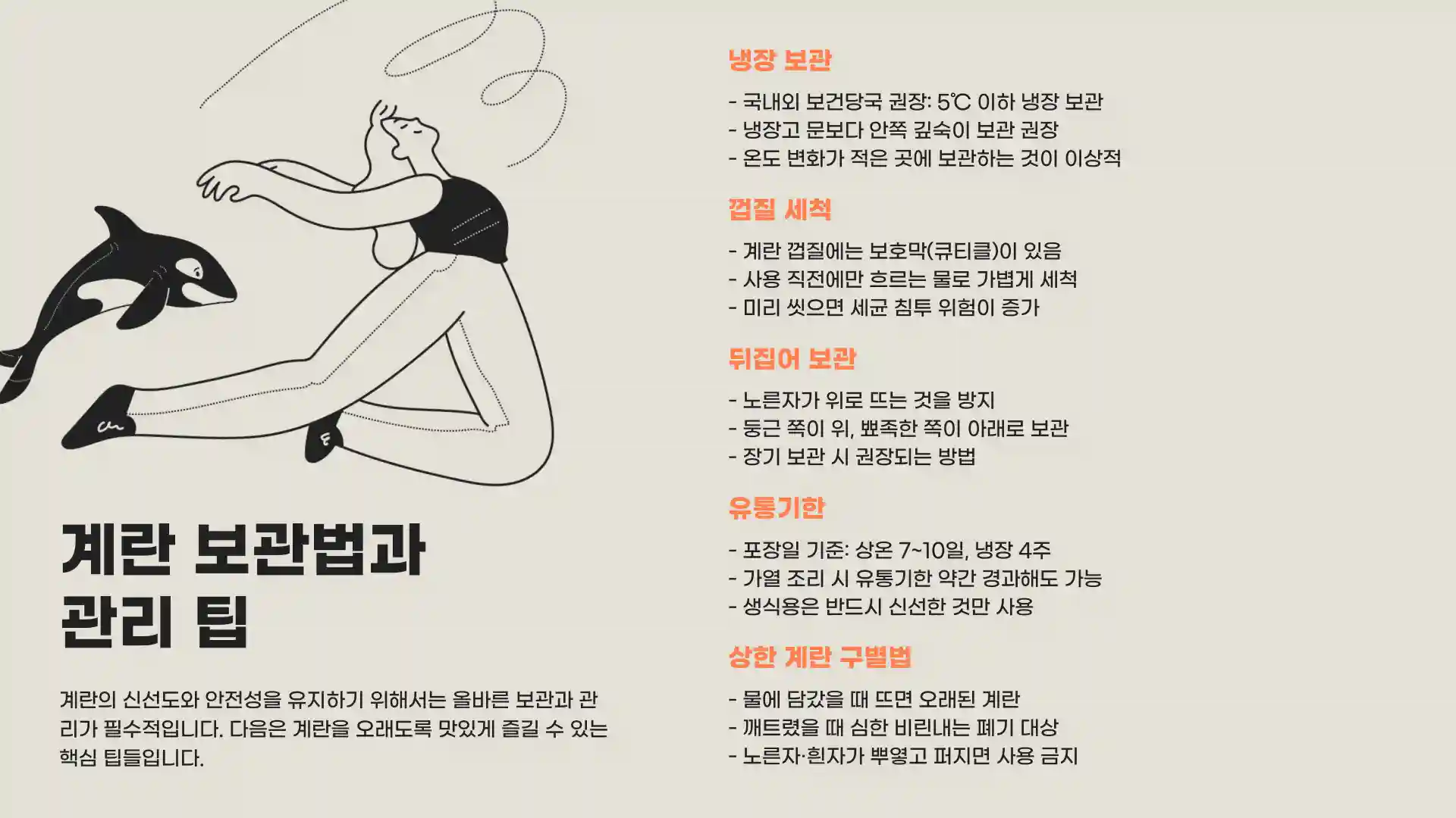 계란 크기 순서 종류 보관법