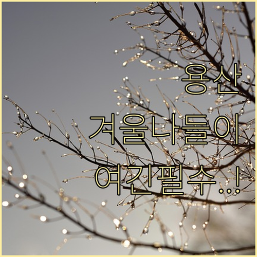 서울 용산구 겨울 나들이 장소 추천 ..