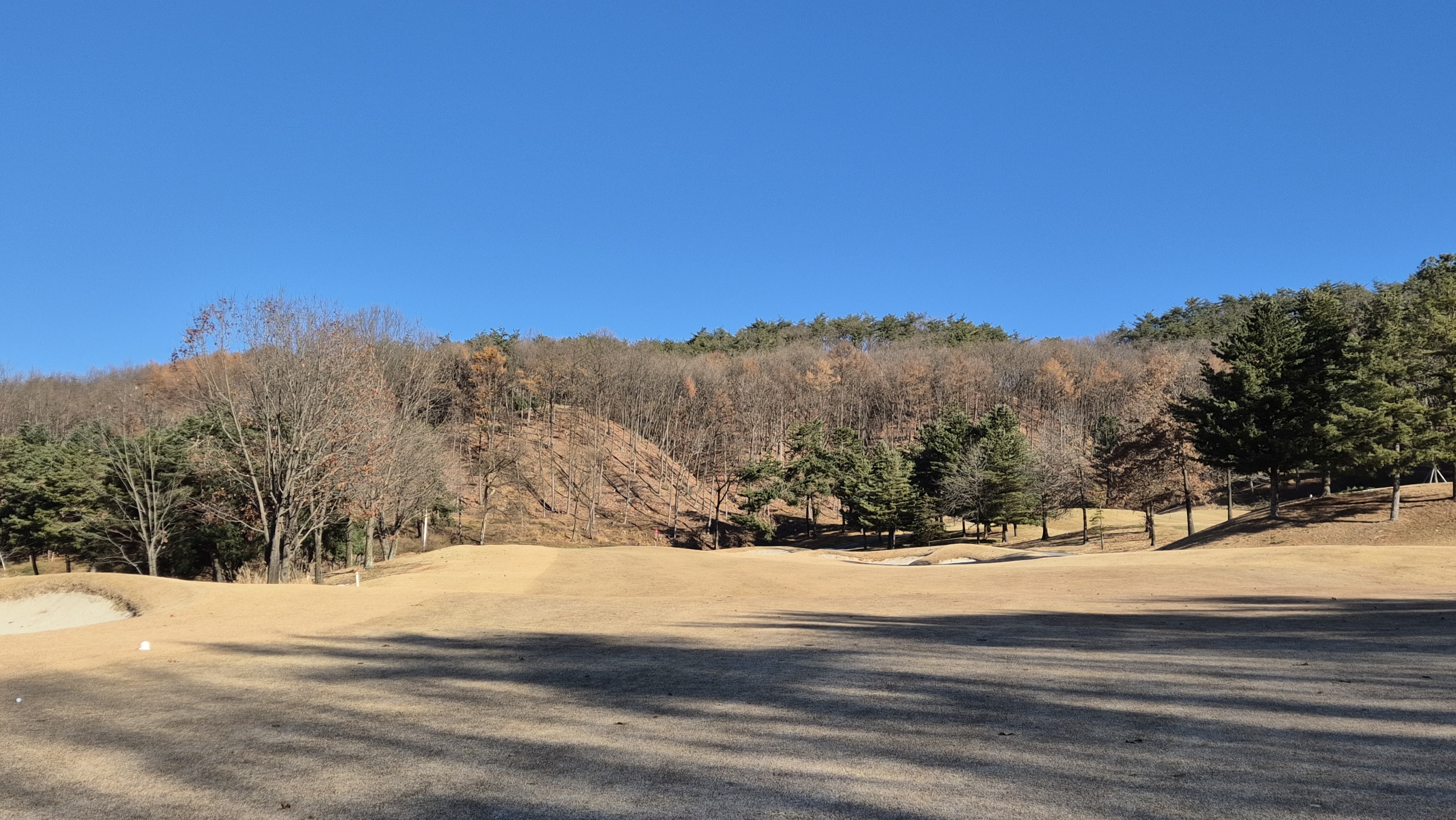 오크밸리cc 오크 코스 사진 및 공략 정보