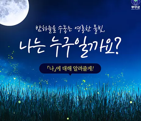 무주반딧불축제