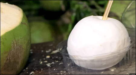 동그란 코코넛 과육 속에 든 코코넛 워터