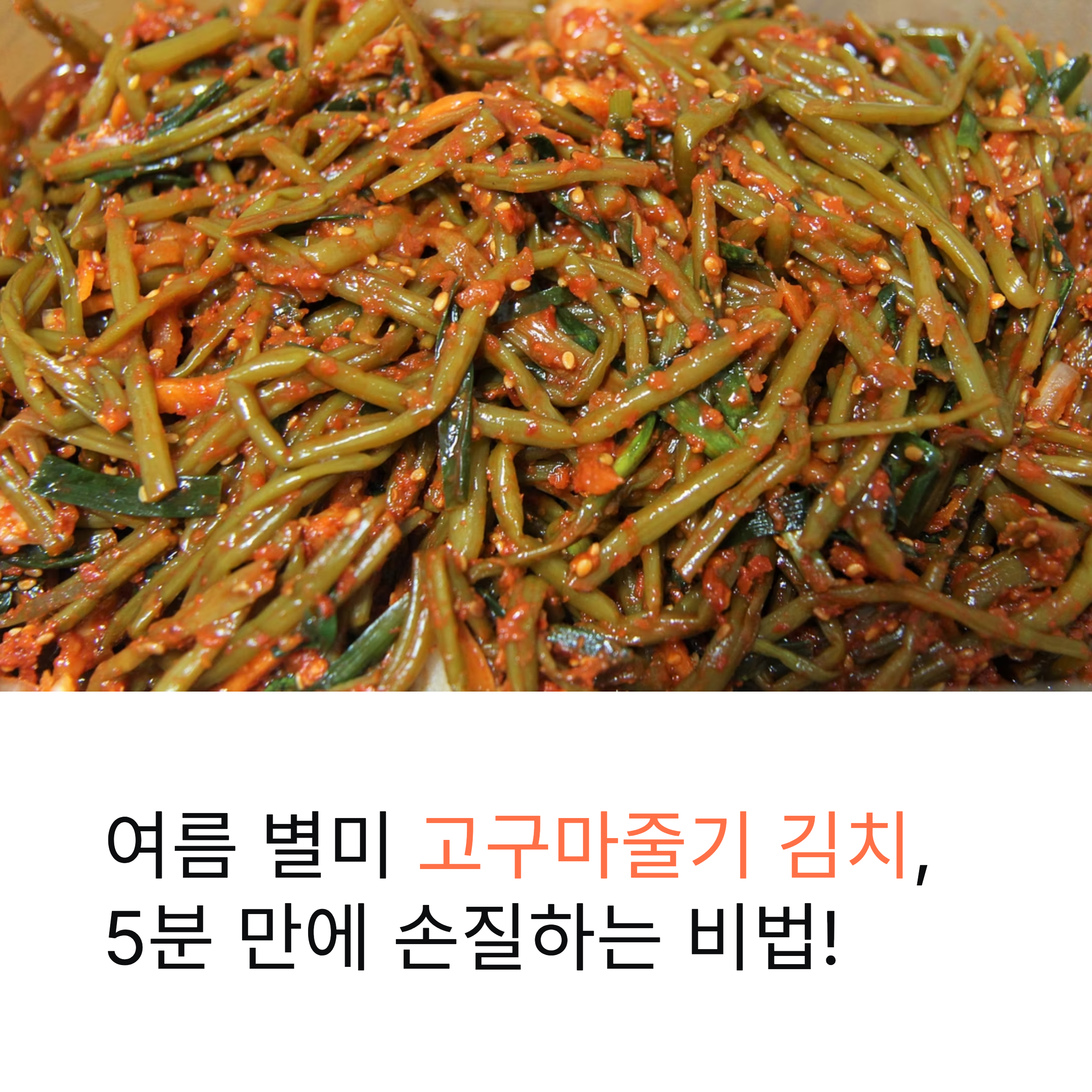 고구마줄기 효능과 초간단 손질법, 황금비율 줄기김치 레시피