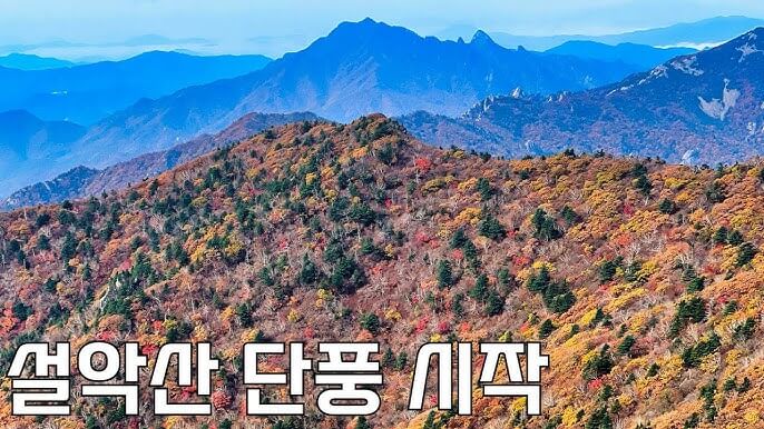 2024 설악산 단풍축제: 가을의 아름다움을 만끽하는 방법 🍂