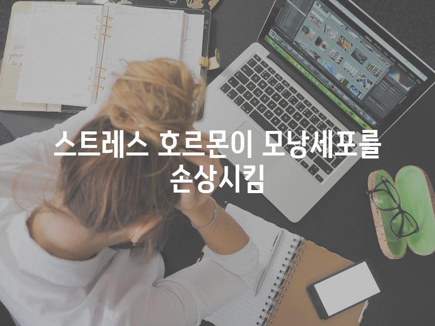스트레스 호르몬이 모낭세포를 손상시킴
