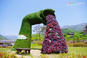 하동 야생차축제