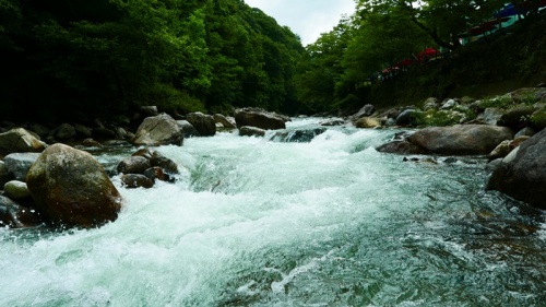 전북_남원_지리산_뱀사골계곡