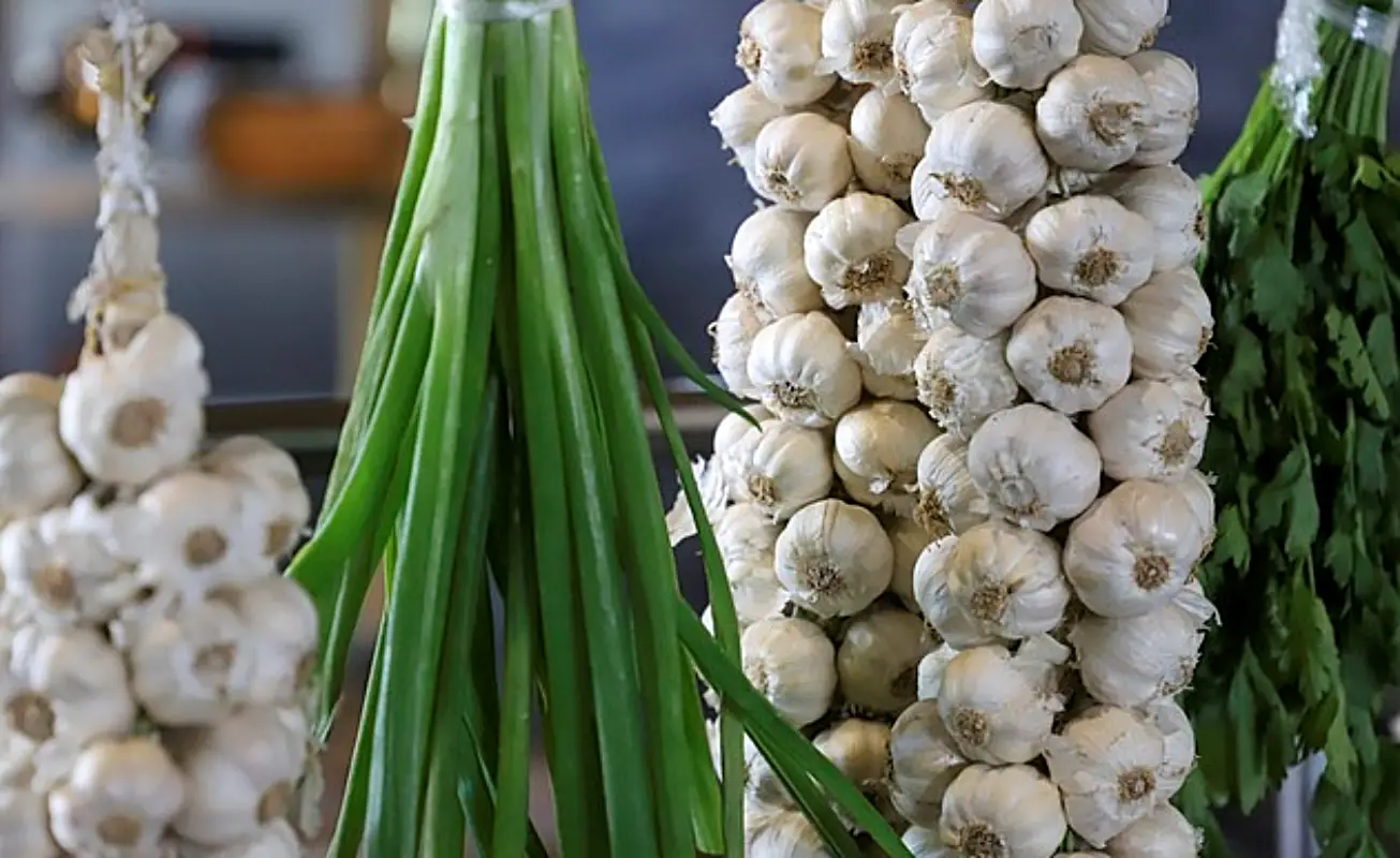 마늘장아찌 담그는법