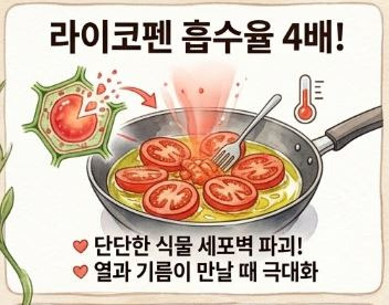 세계 10대 슈퍼푸드 5탄 : 토마토 효능과 부작용, 라이코펜 흡수율 4배 높이는 올바른 조리법