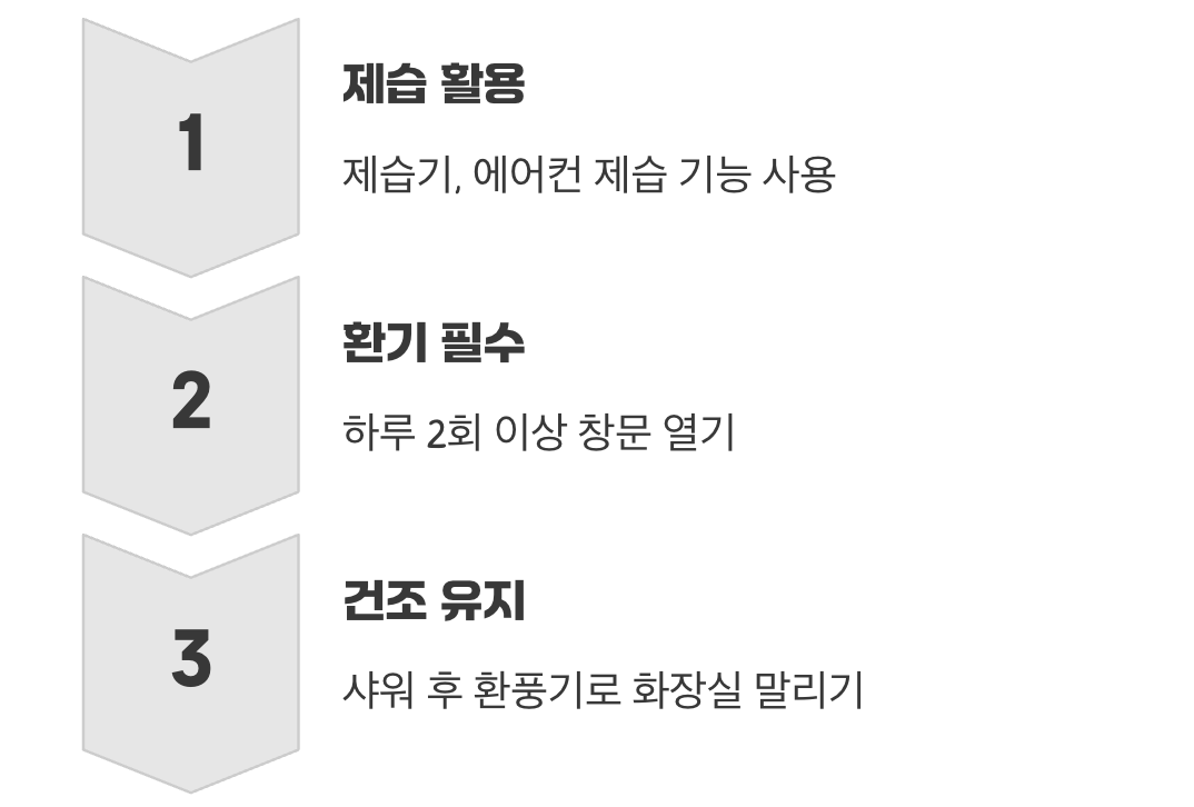 벌레가 싫어하는 환경 만들기 (습기 제거)