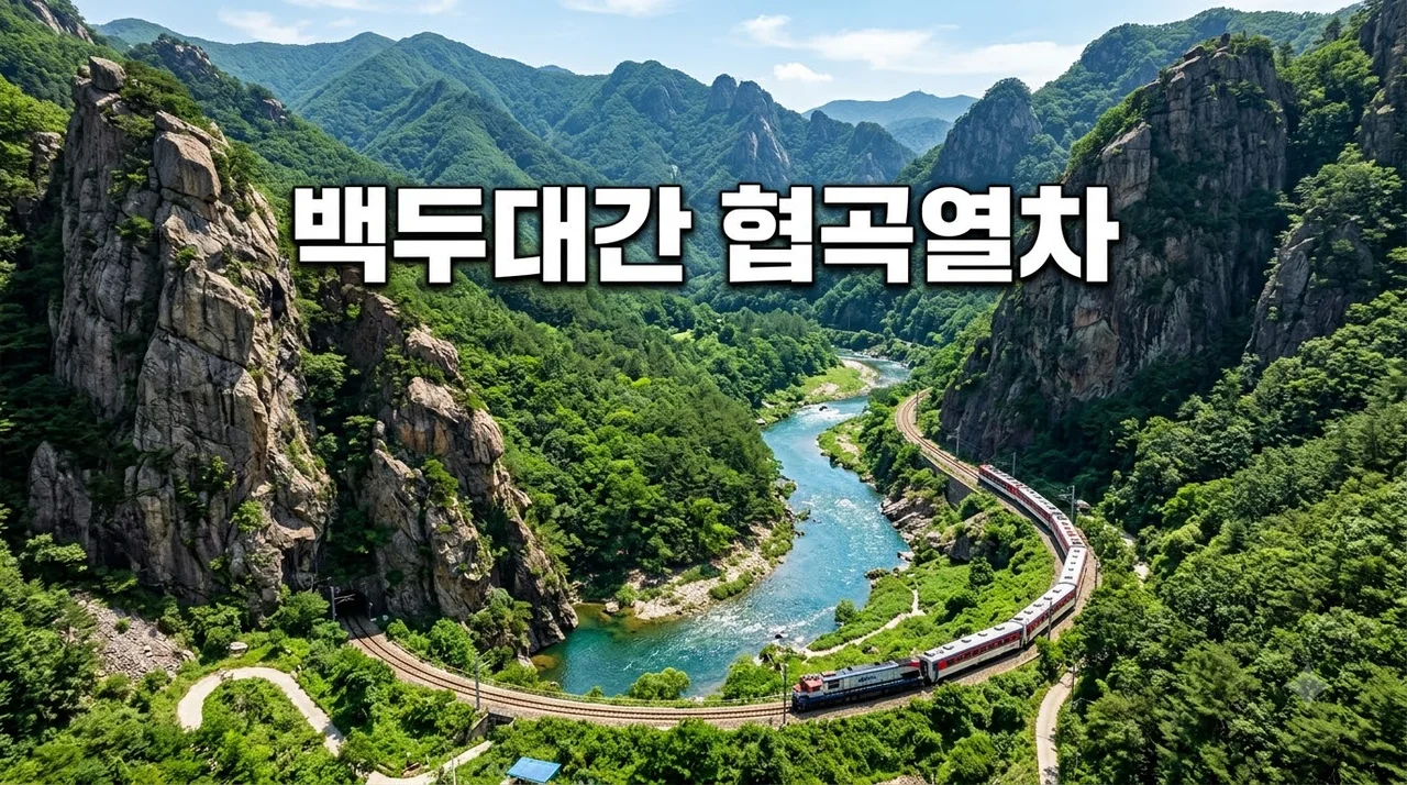 백두대간 협곡열차 V-train 예약 방법 코스 요금 완벽 가이드
