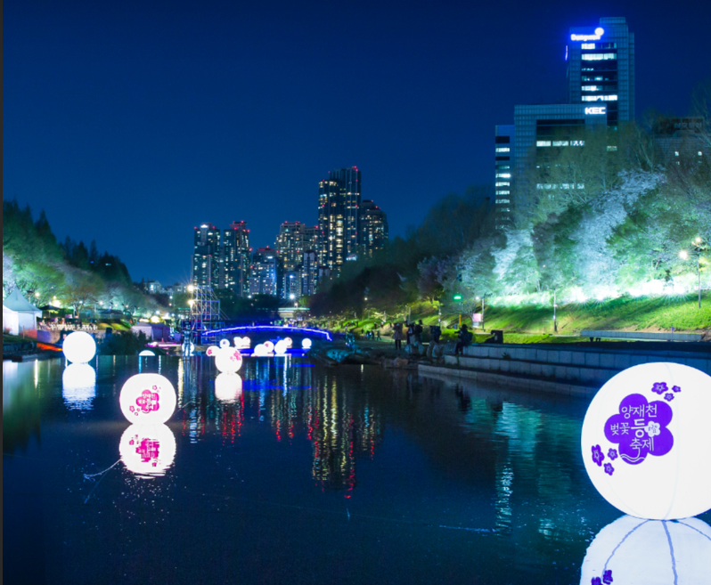 양재천 벚꽃 등 축제