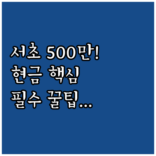 2025년 서초구 거주 보호 종료 청..