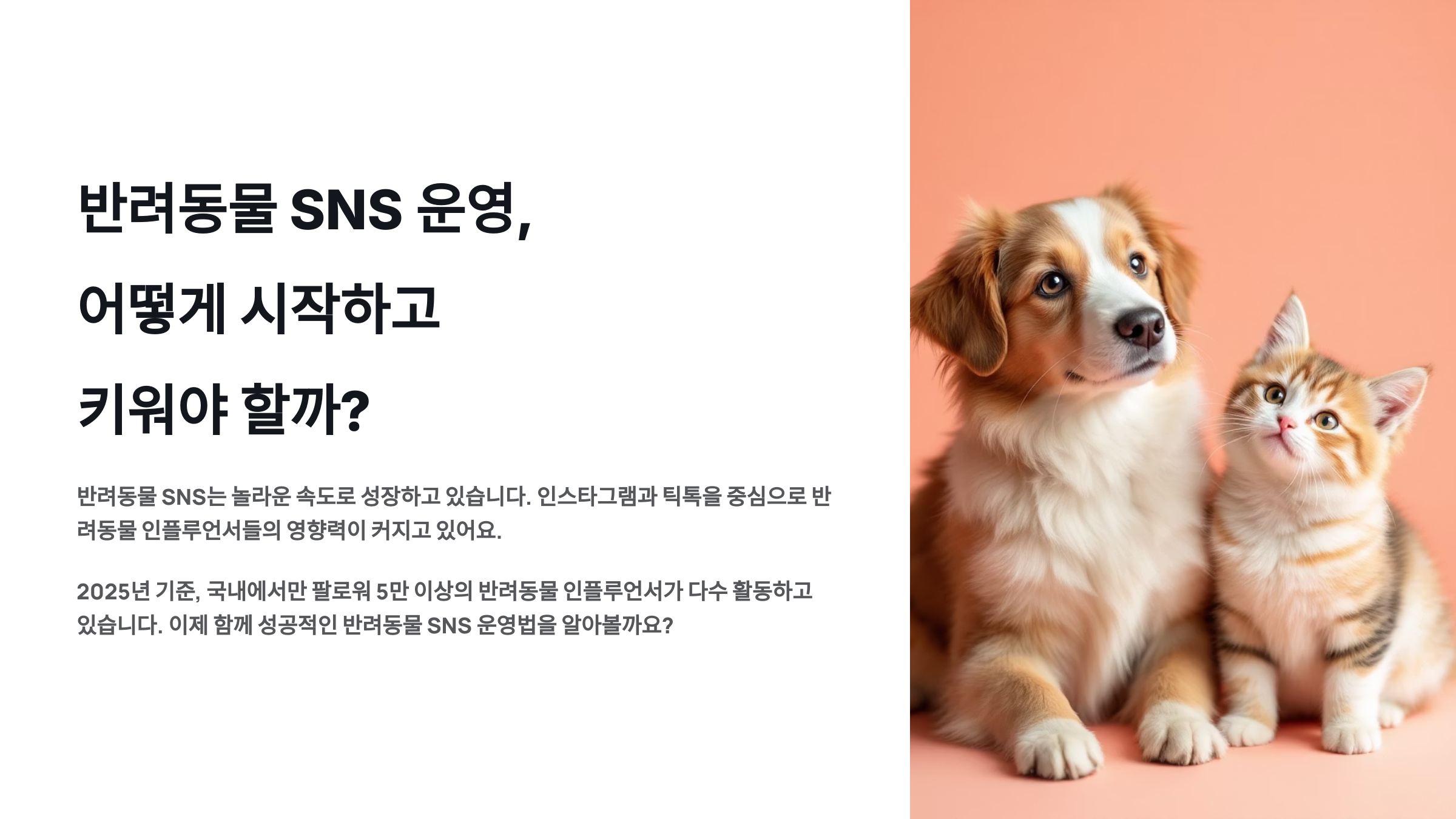 반려동물 SNS 운영, 어떻게 시작하고 키워야 할까?