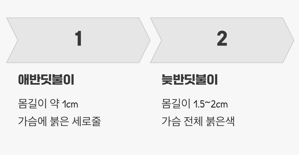 크기와 생김새가 달라요