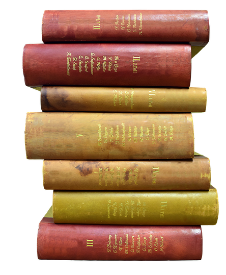 책을 7권을 읽기