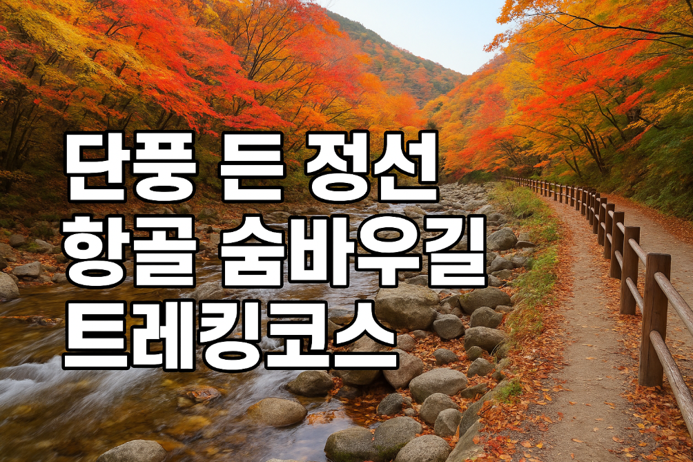 정선 항골 단풍 숨바우길, 이 시기 놓치면 후회하는 트레킹