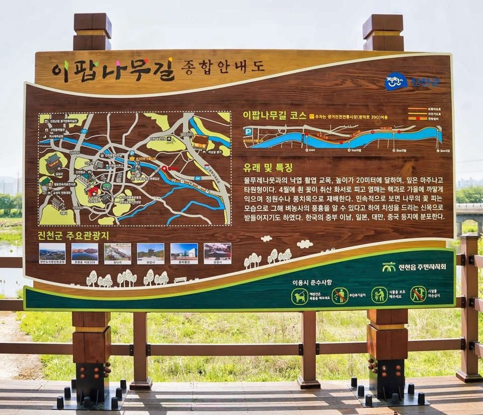 이팝나무길