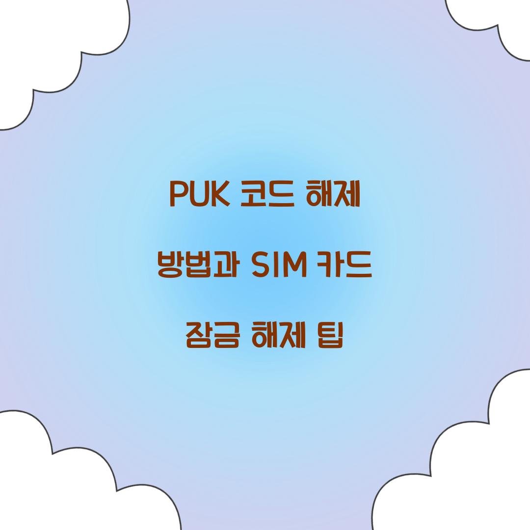 PUK 코드 해제 방법