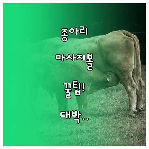마사지볼과 함께하는 종아리 스트레칭 ..