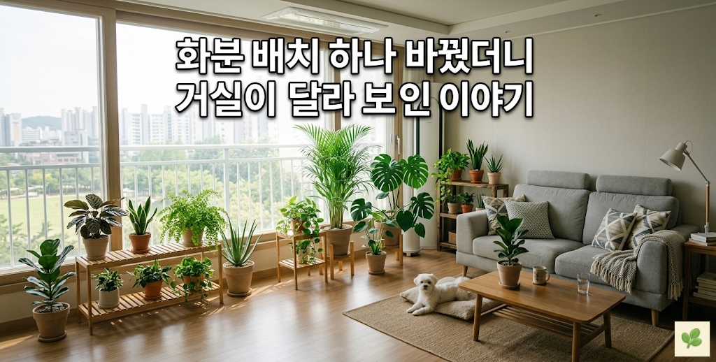 화분 배치 하나 바꿨더니 거실이 달라 보인 이야기