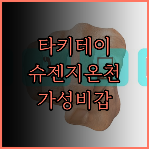 슈젠지 온천 호텔 타키테이 찐후기 ♨