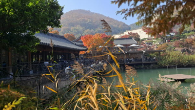 단풍명소_화담숲_연못