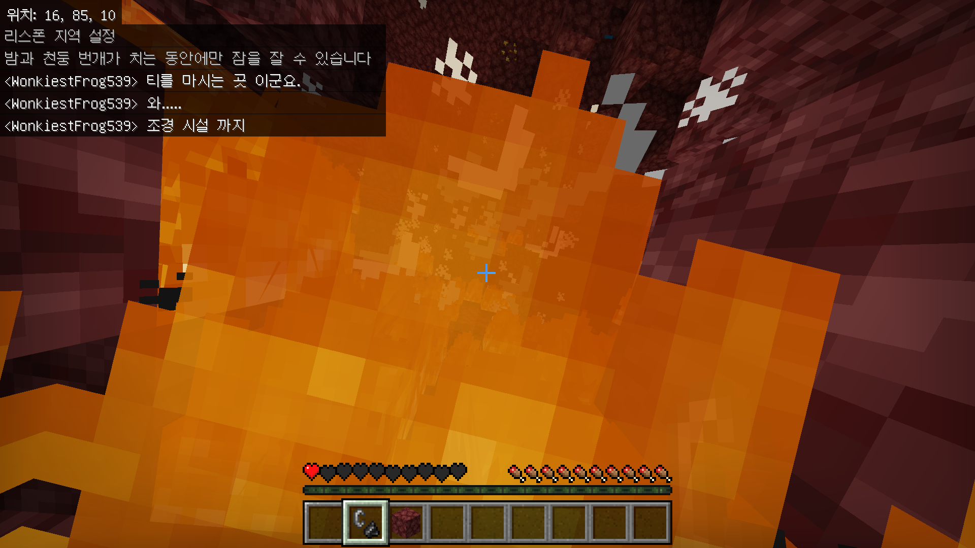 마인크래프트 광물 좌표 및 분포 - 다이아몬드와 네더라이트