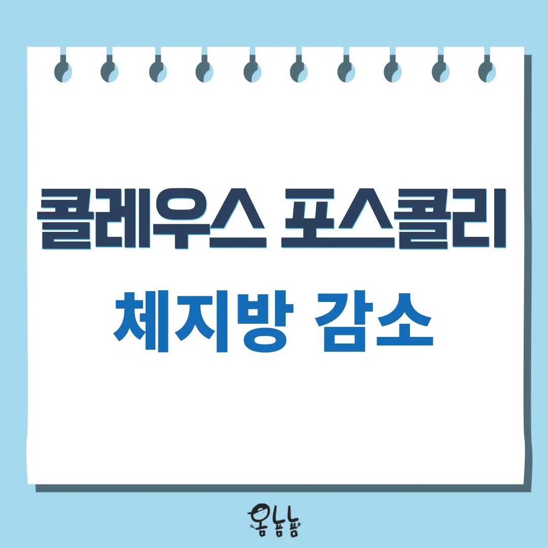 콜레우스 포스콜리 효능