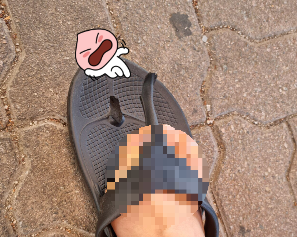 보령머드축제 준비물 설명