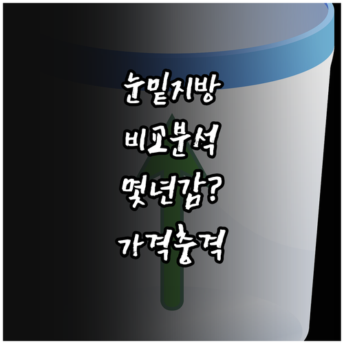 눈밑지방 재배치, 지속 기간과 비용 ..