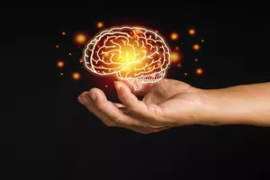 뇌졸중 치료방법