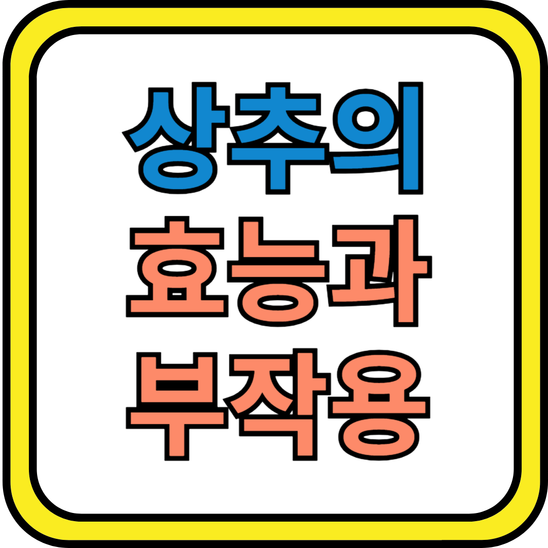 상추 효능과 부작용, 맛있게 먹는 방법