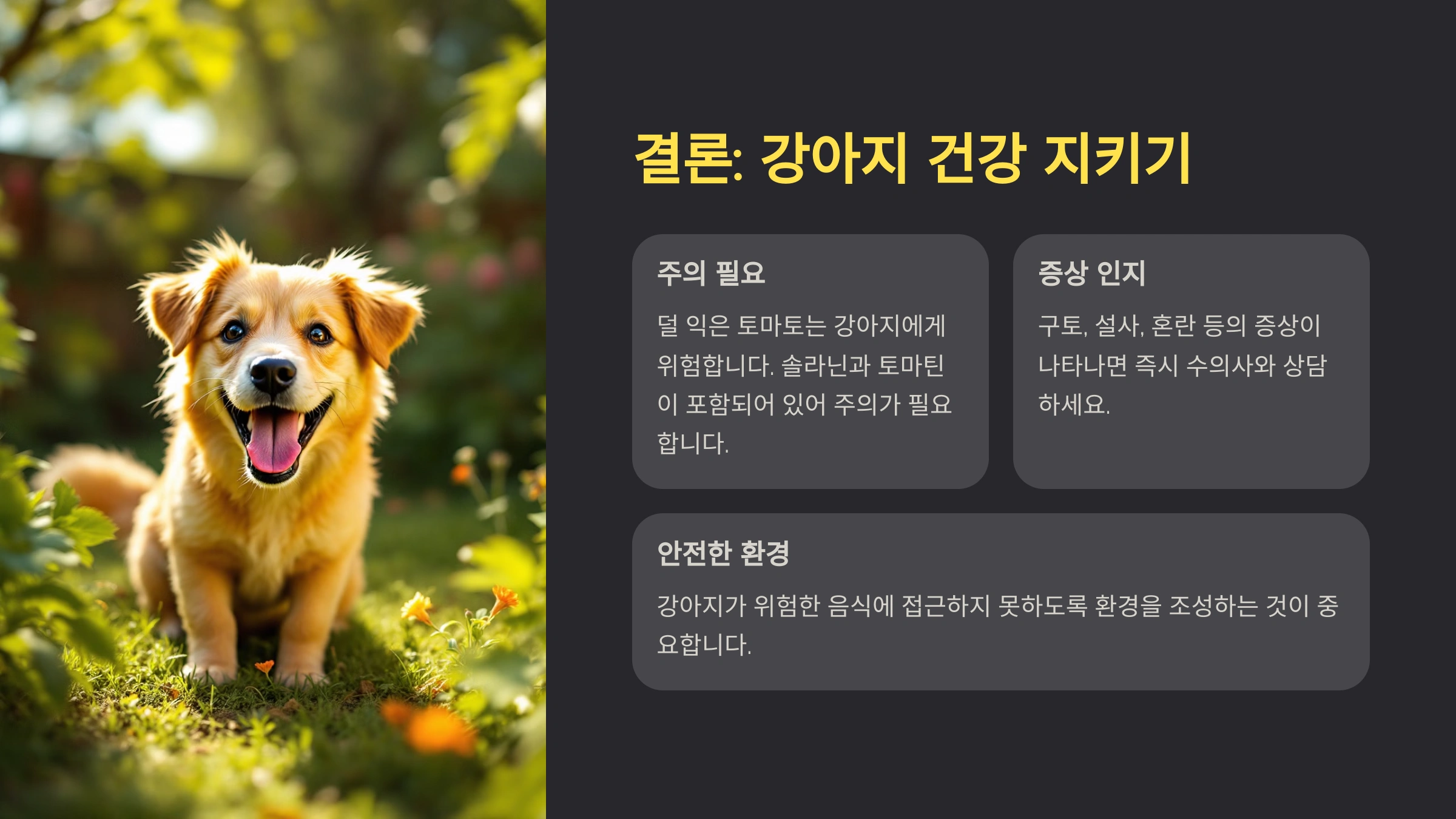 덜 익은 토마토, 강아지가 먹으면 위험한 이유