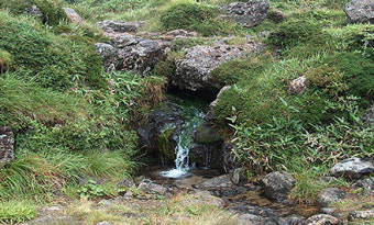 2025 한라산 백록샘 첫 개방! 선착순 100명