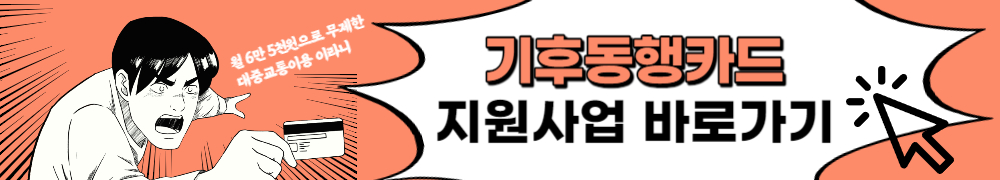 기후동행카드
