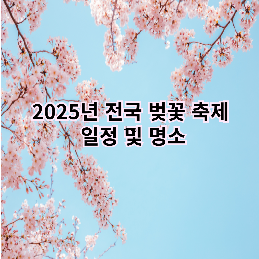 2025년 전국 벚꽃 축제 일정 및 명소