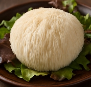 노루궁뎅이버섯 효능