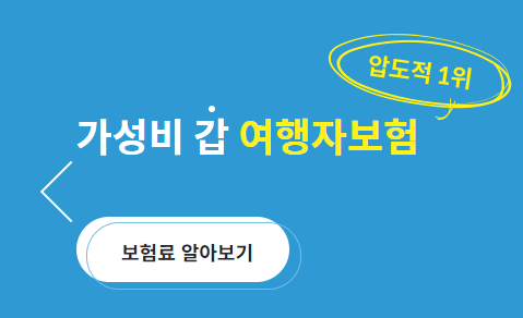 여행자보험 추천