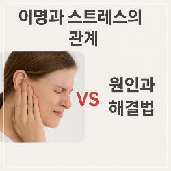 이명과 스트레스의 관계, 원인과 해결법 썸네일