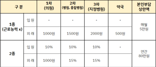 기초수급자 혜택, 기초수급자 의료급여