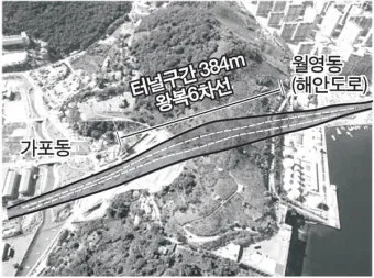 마산 해안도로 5월의 꽃 다정큼나무 산딸나무 해당화_5
